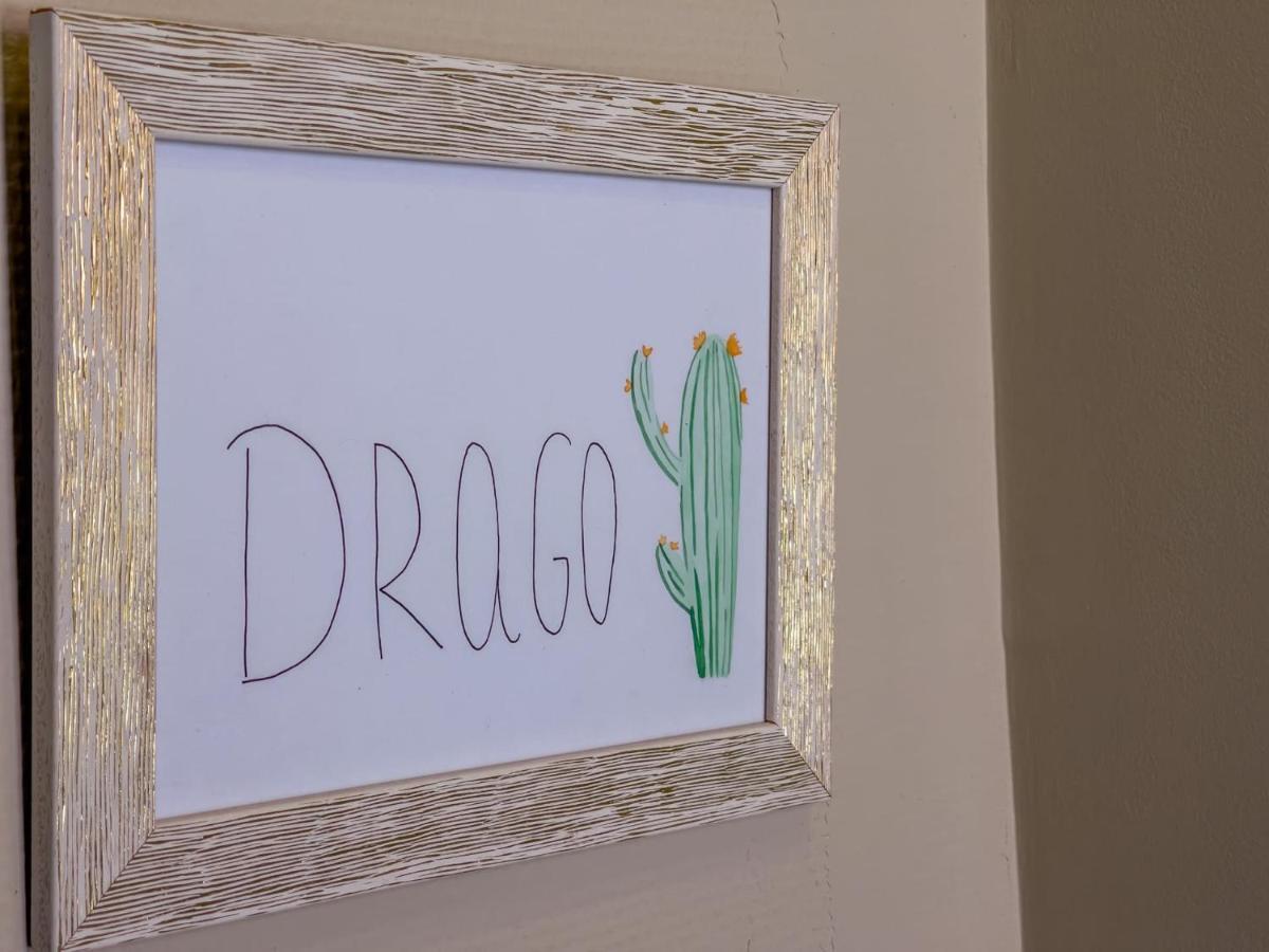 Bed and Breakfast Cactus Coliving & Coworking Arona  Exteriér fotografie