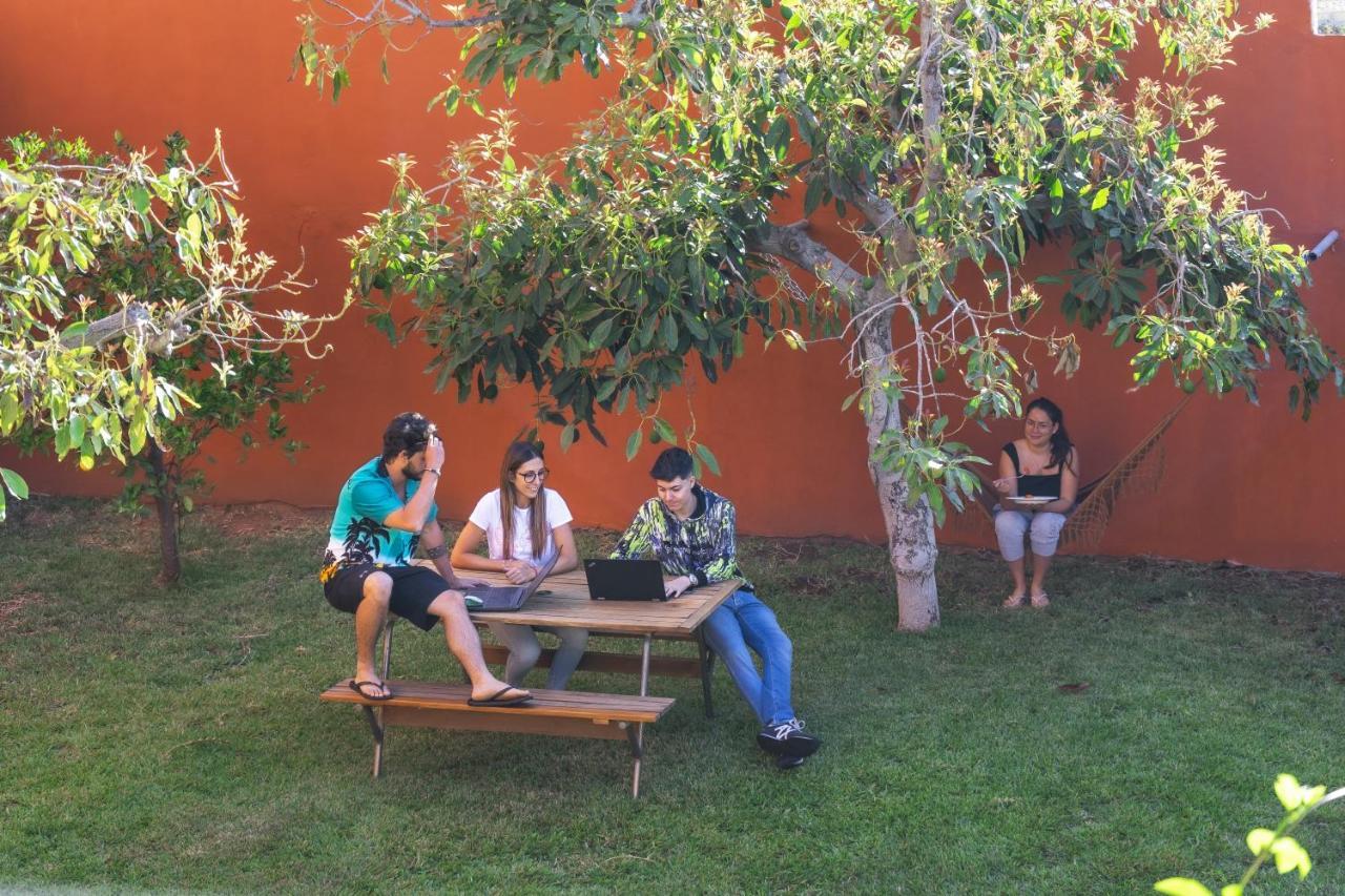 Bed and Breakfast Cactus Coliving & Coworking Arona  Exteriér fotografie